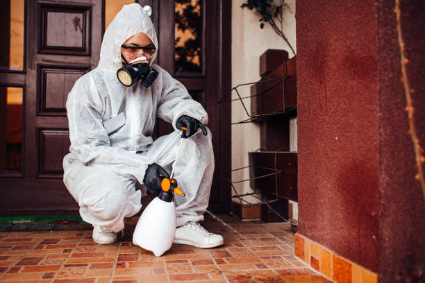Reliable Cockroach Control contractor in San Jose, CA by Nex Pest Control